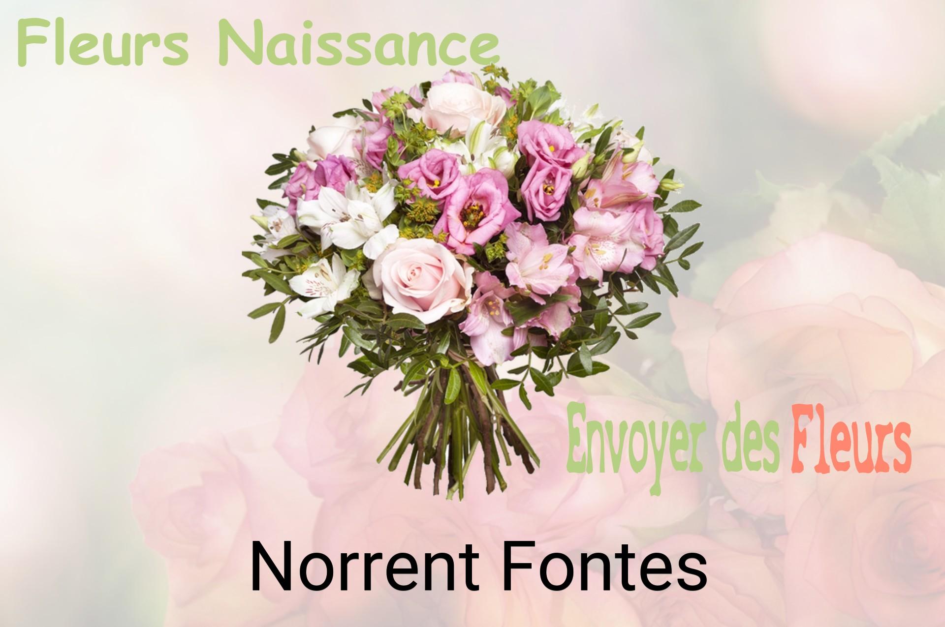 Bouquet de fleurs de naissance livré à Norrent-Fontes