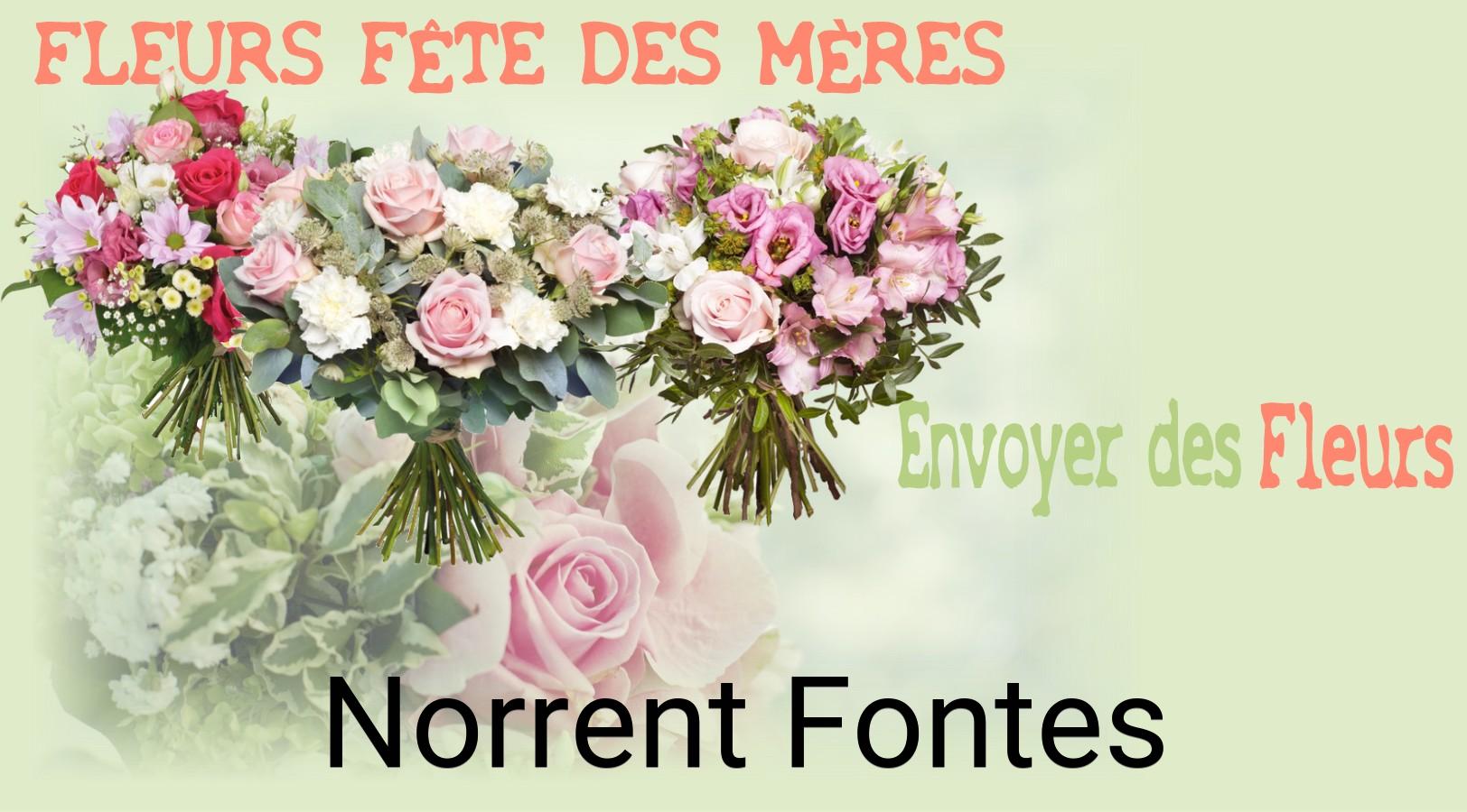Bouquet de Fête des Mères livré à Norrent-Fontes